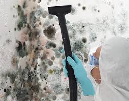 Why You Should Choose Our Mold Remediation Services in Hines, OR